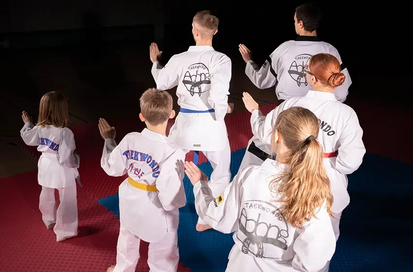 Les Poomsae sont des enchaînements codifiés de techniques de défense et d'attaque dans l'espace.